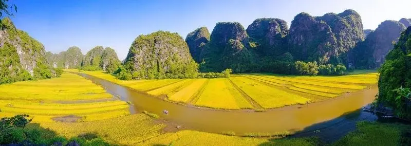 Phong cảnh cánh đồng tuyệt đẹp, được tô điểm bởi màu vàng của cánh đồng lúa chín.