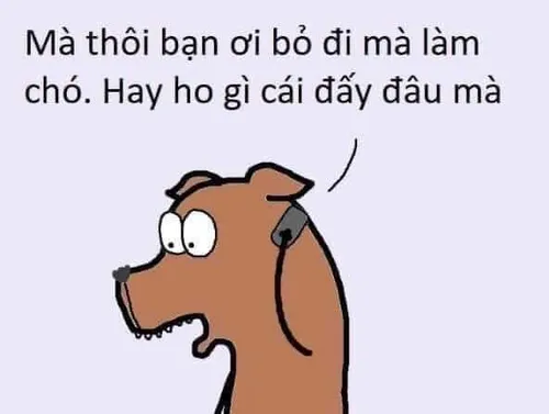 Meme đã từ chối các biểu hiện thực sự