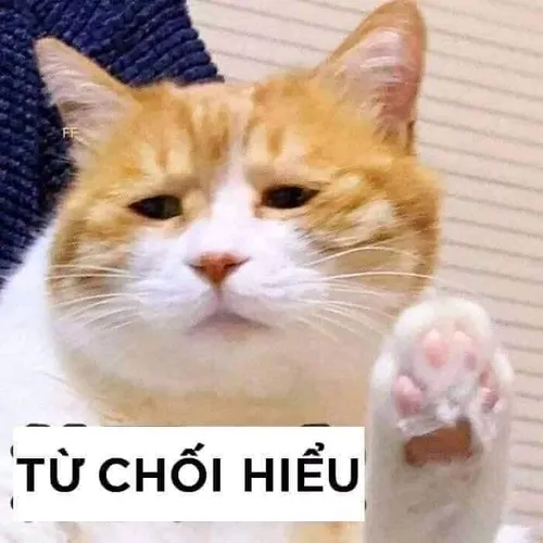 Meme từ chối lan truyền nhanh chóng trong cộng đồng