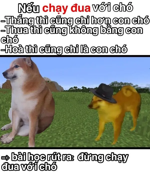 Shiba meme vui vẻ làm cho ngày của bạn trở nên rực rỡ hơn