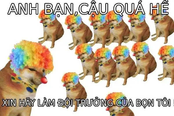 Shiba meme với những biểu cảm hài hước dễ thương