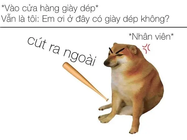 Meme Shiba khiến mọi người muốn chia sẻ