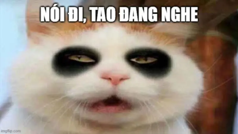 Meme buồn ngủ để mang lại cảm giác nhẹ nhàng