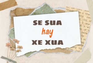 Se sua hay xe xua