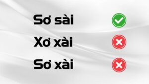 Sơ xài hay sơ sài hay xơ xài