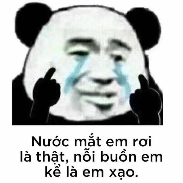 Meme panda dễ thương và hài hước