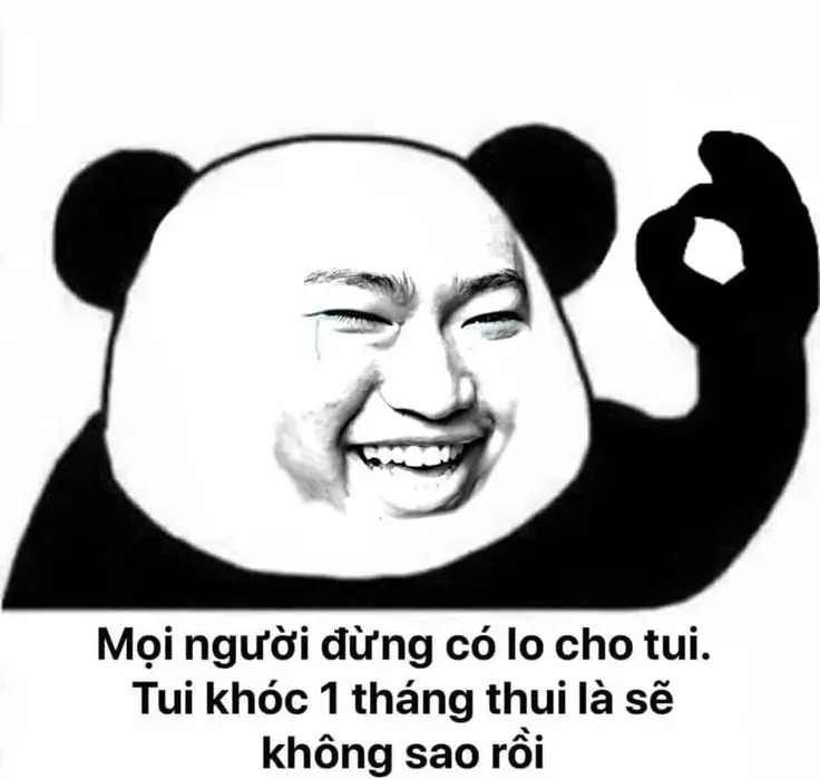 Meme panda sáng tạo