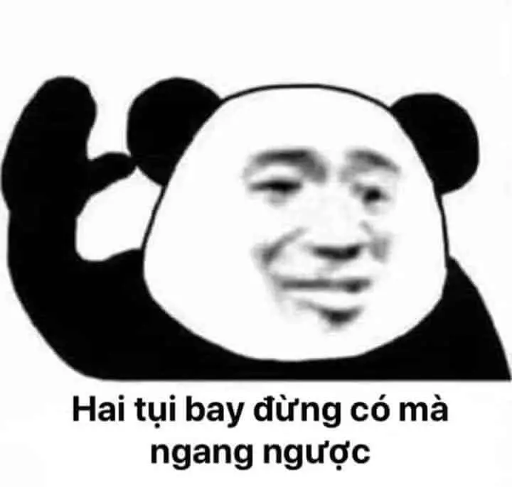 Bộ sưu tập meme gấu trúc đặc biệt