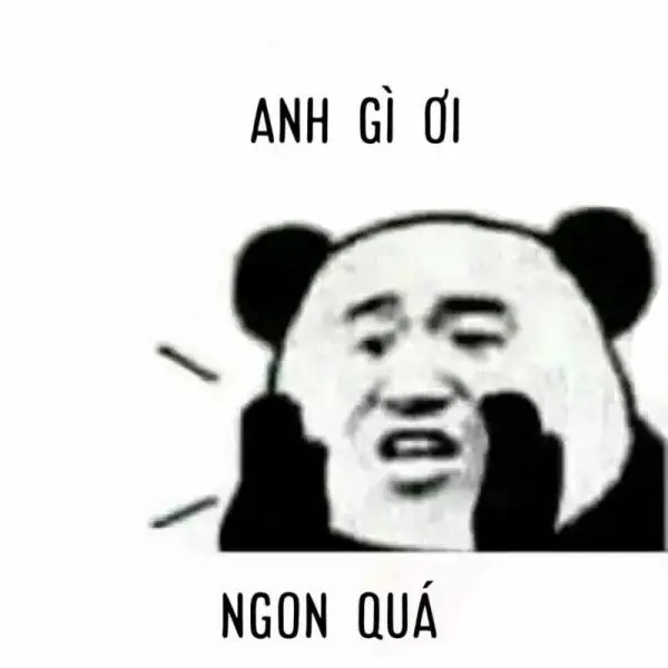 Gấu trúc meme cười mà không dừng lại