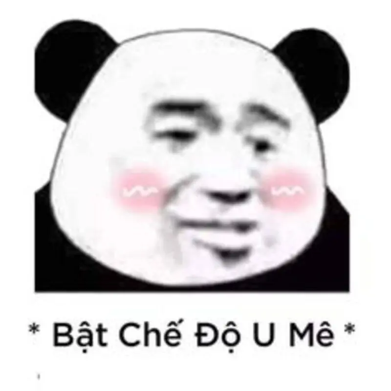 Meme panda cực kỳ thú vị