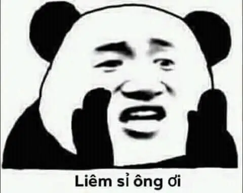 Meme panda toàn vẹn