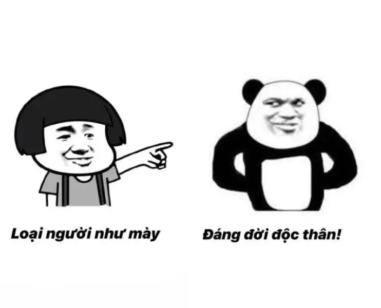 Panda meme cho một ngày mới hạnh phúc