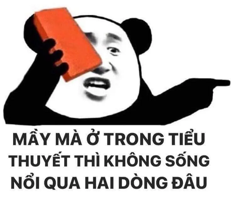 Gấu trúc meme vô cùng buồn cười