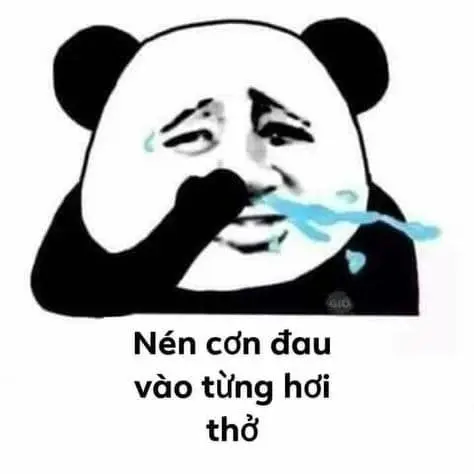 Panda meme là hạnh phúc cả ngày