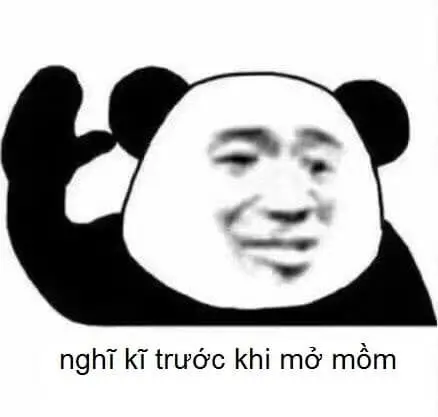 Panda panda dễ thương và hài hước