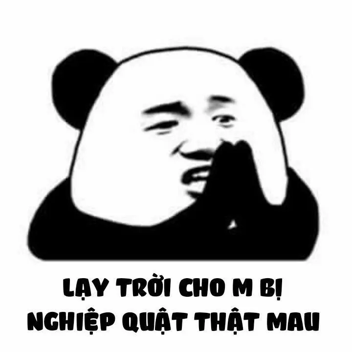 Memes panda hài hước nhất