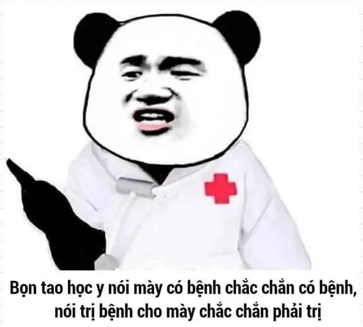 Panda vui nhộn meme