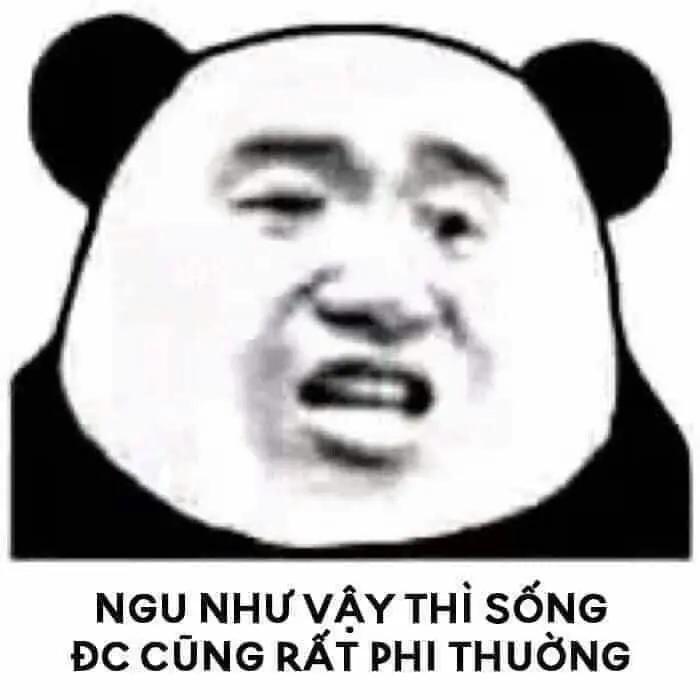 Meme gấu trúc nóng nhất hôm nay