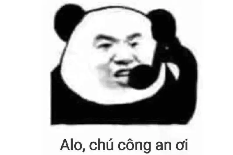 Meme panda cực kỳ lầy lội