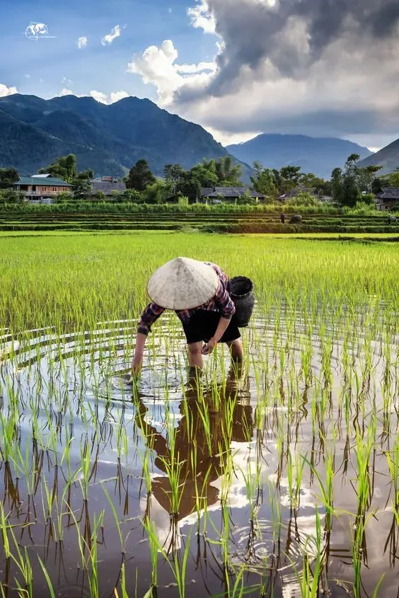 Hình ảnh của những cô gái đồng quê xinh đẹp với đôi mắt lấp lánh