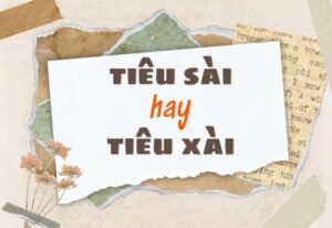 tiêu sài hay tiêu xài