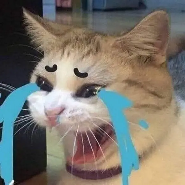 Meme Cat Sad, Meme Meme bùng nổ