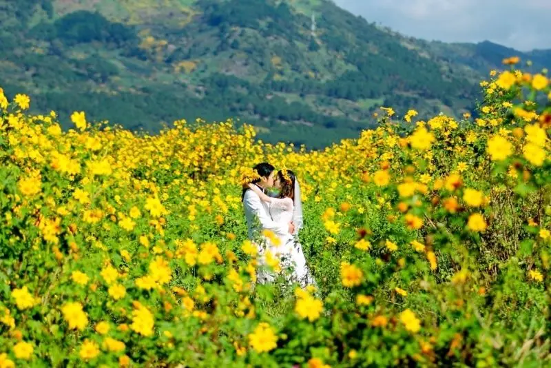 Khám phá hoa dại trong tự nhiên, vẻ đẹp ngọt ngào.