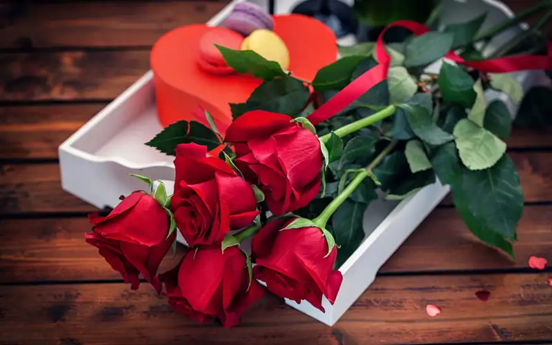 Red Roses - Lựa chọn hoàn hảo để tặng cho người yêu