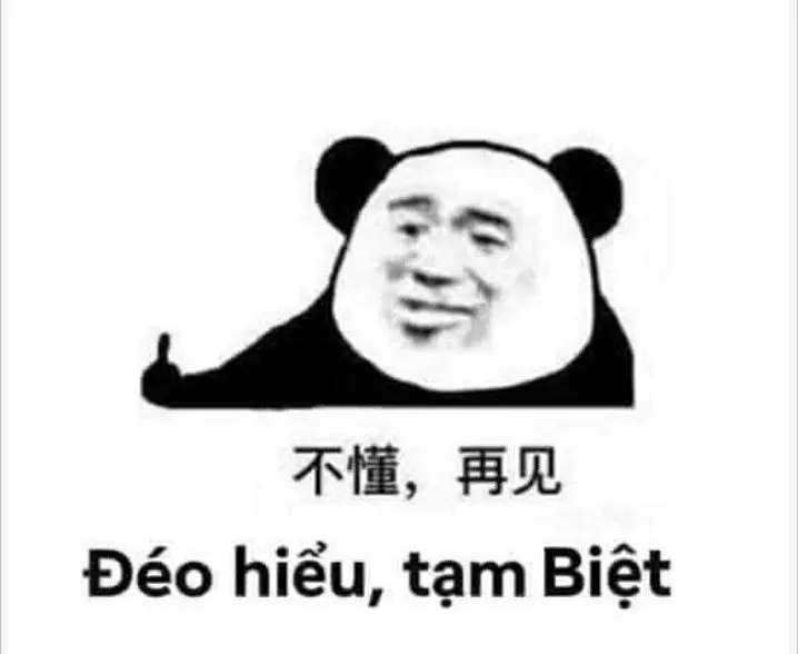 Meme hài hước khiến người xem cười vì sự ngớ ngẩn