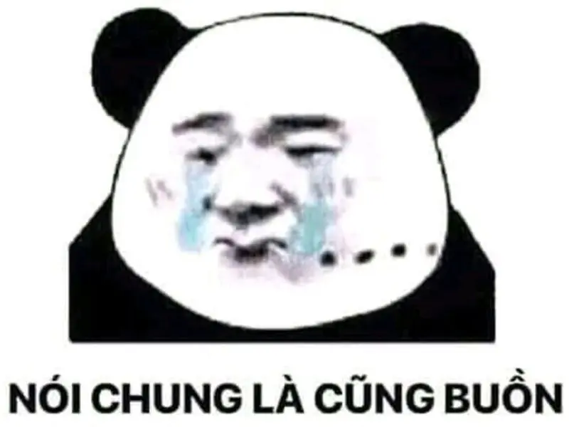 Ảnh ghi nhớ panda vui nhộn 