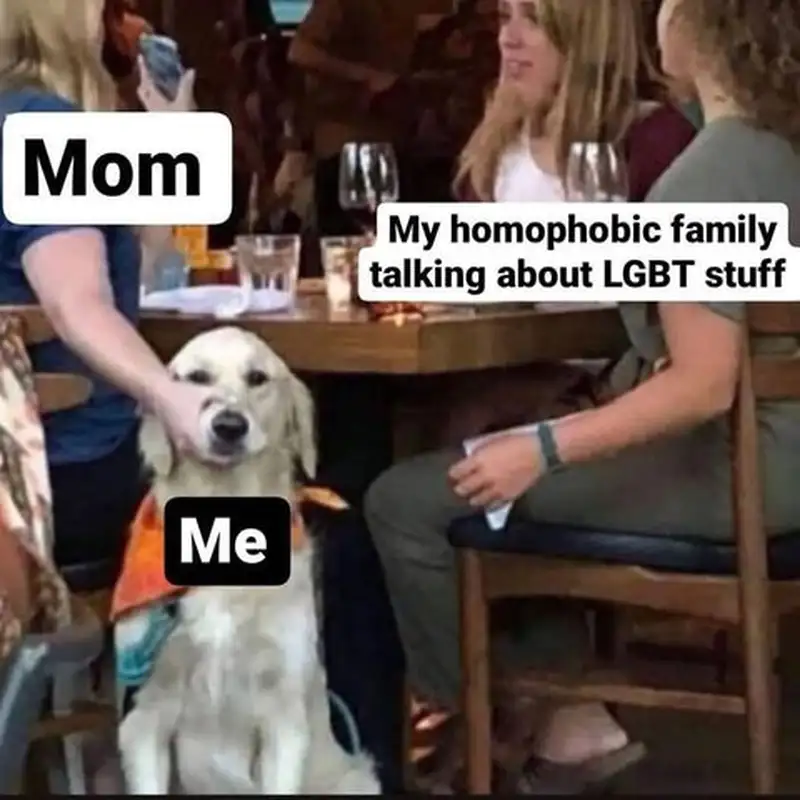 Meme lgbt đầy màu sắc vui nhộn