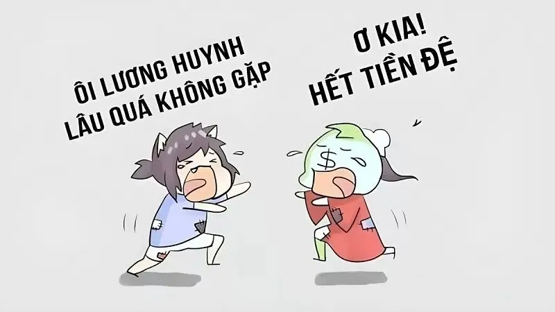 Fun Tet Cat Meme cho bầu không khí tet