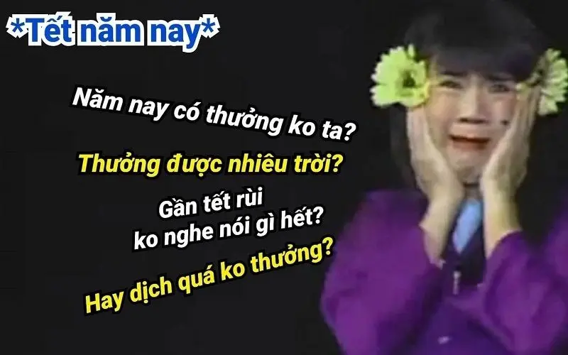 Meme năm mới với những lời chúc thú vị