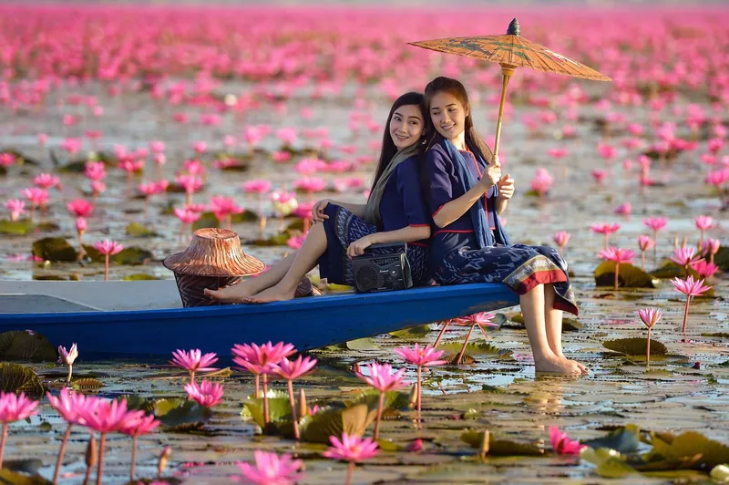 Hoa loa kèn đung đưa nhẹ nhàng trên mặt nước