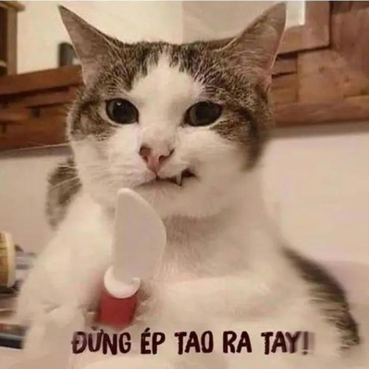 Meme tức giận dễ dàng truyền tải những cảm xúc thất vọng qua hình ảnh