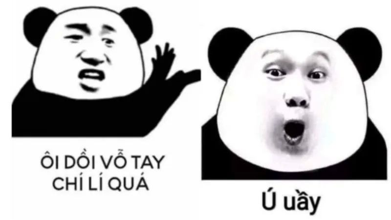 The Panda Comedy Meme viết những bức thư siêu hài hước