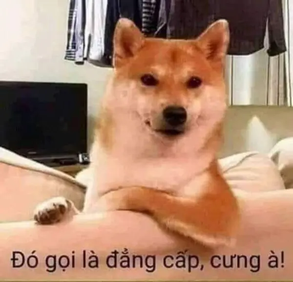 Khó giúp với bộ phim hài meme