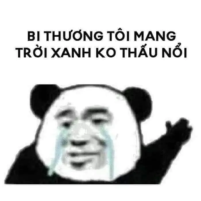 Panda panda dễ thương và hài hước