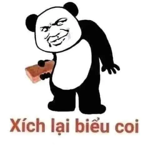 Gấu trúc meme thú vị cho người xem