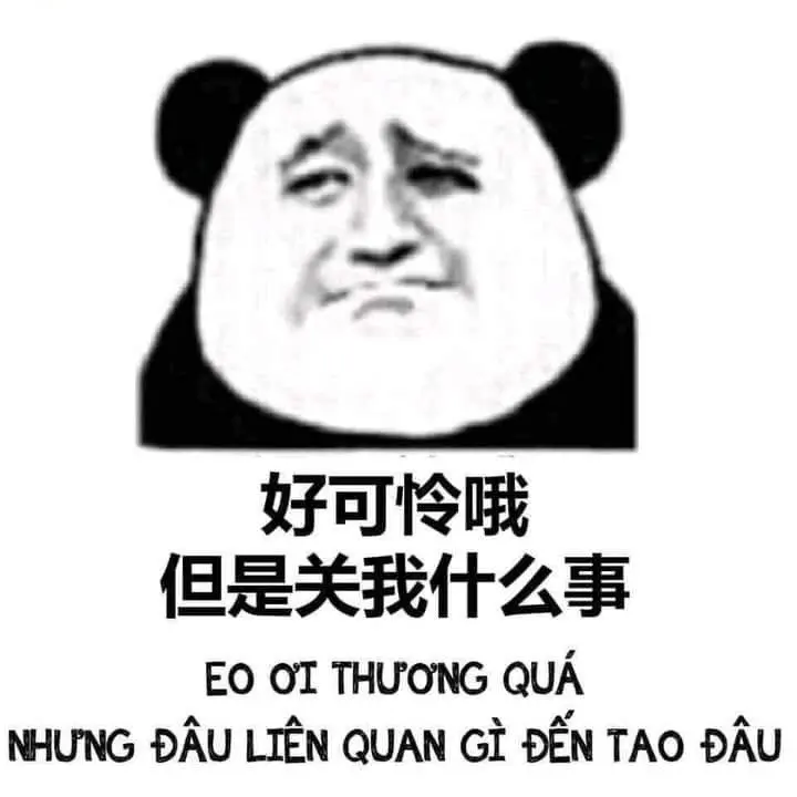 Meme độc ​​đáo và hài hước