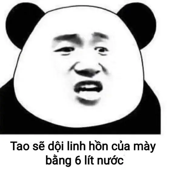 Panda meme thật hài hước và hài hước