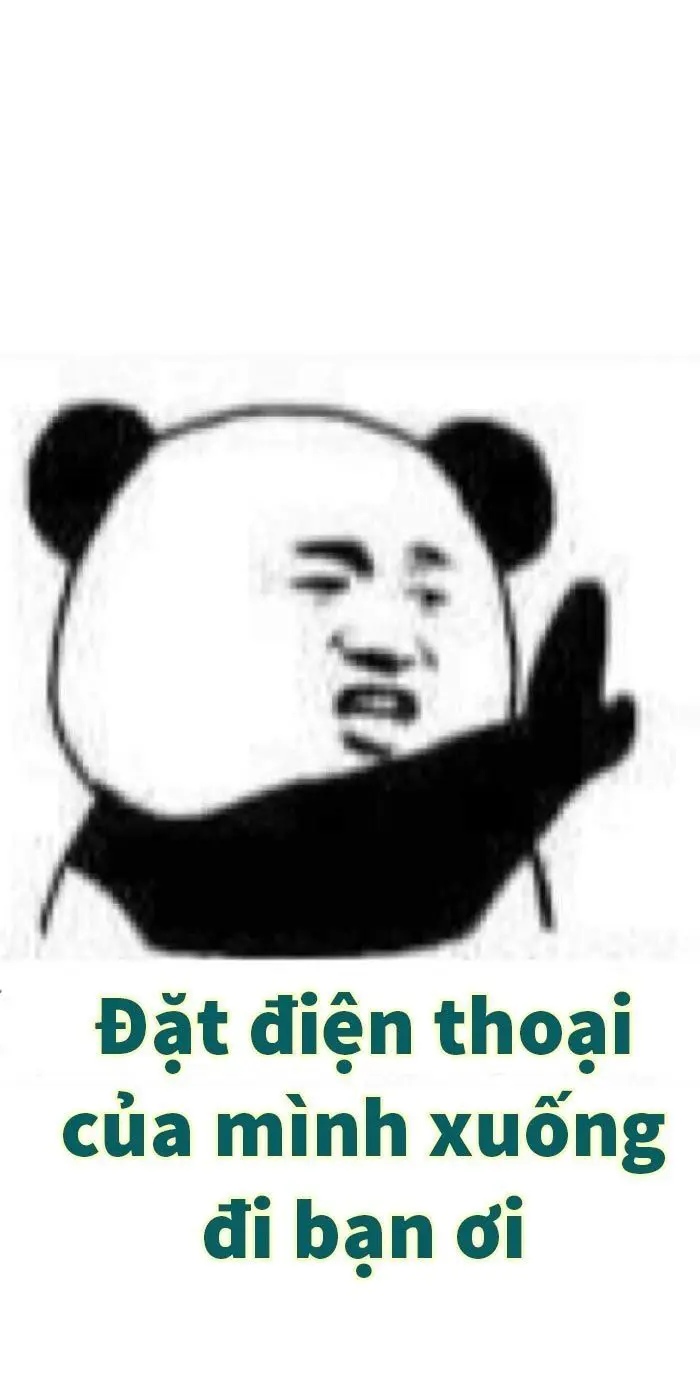 Panda meme rất thú vị với nhiều biểu cảm