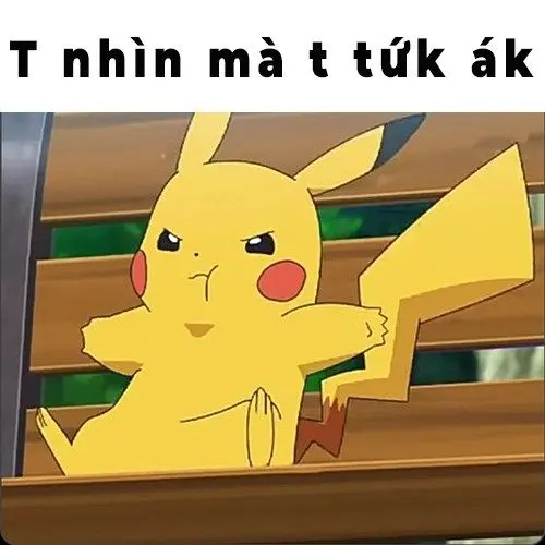 Pikachu meme t trông rất buồn cười