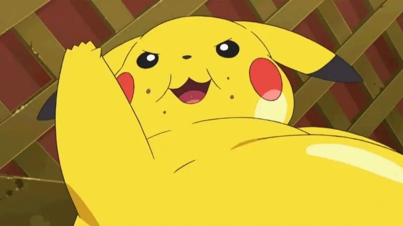 Chất béo pikachu 