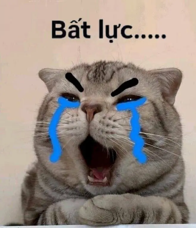 Meme bất lực hài hước và hài hước