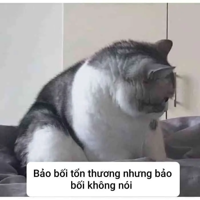 Hình ảnh của meme thật buồn cười