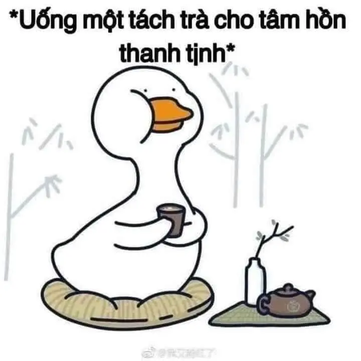 Meme thật hài hước, khiến bạn cười mãi mãi