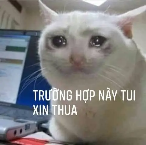 Meme bất lực hài hước và cực kỳ lầy lội