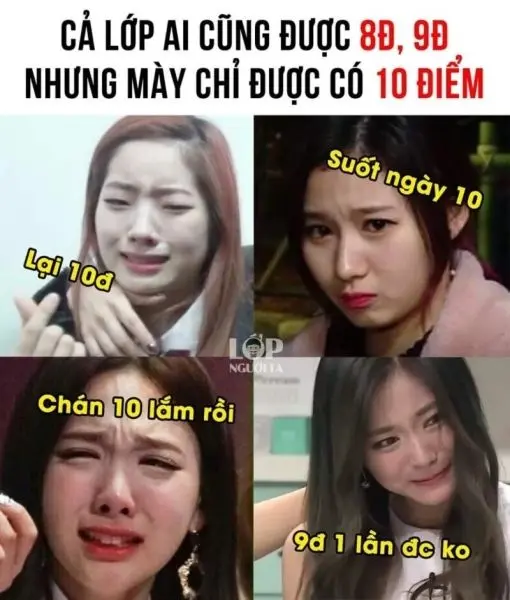 10 điểm meme với biểu cảm hạnh phúc