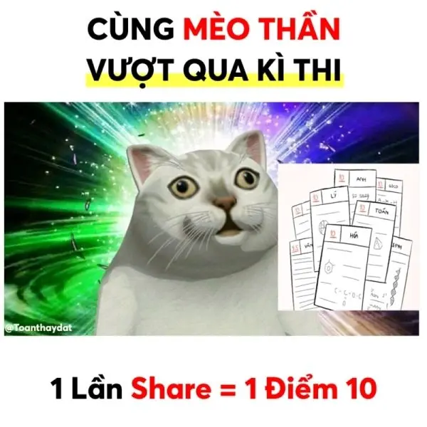 10 điểm meme mang lại niềm vui cho mọi người